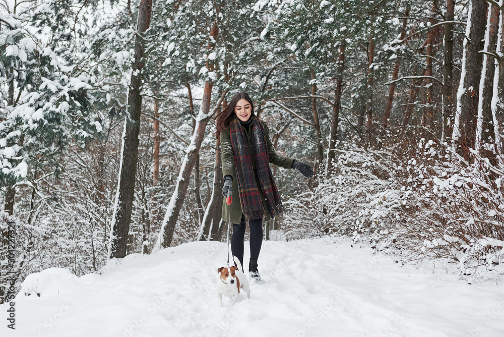 Woman in warm clothes walks the dog in the snowy forest. Front view