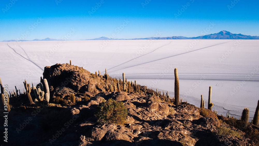 View of the salar de Uyuni from the cactus island.  you can see the trail of the roads of the cars to reach the island.