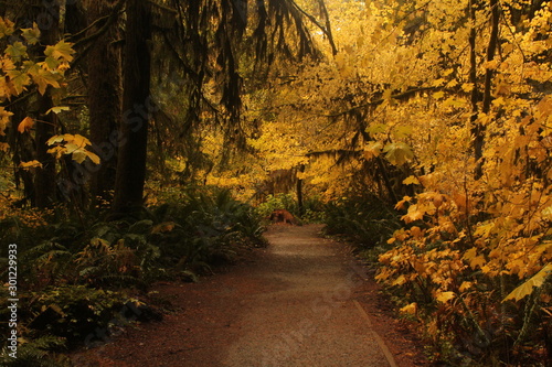 Fall walkway
