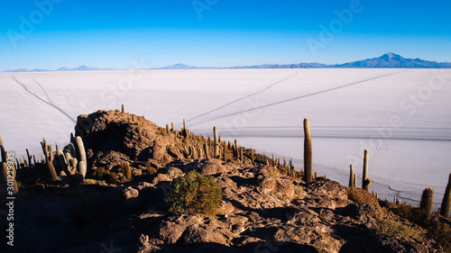 View of the salar de Uyuni from the cactus island. you can see the trail of the roads of the cars to reach the island.