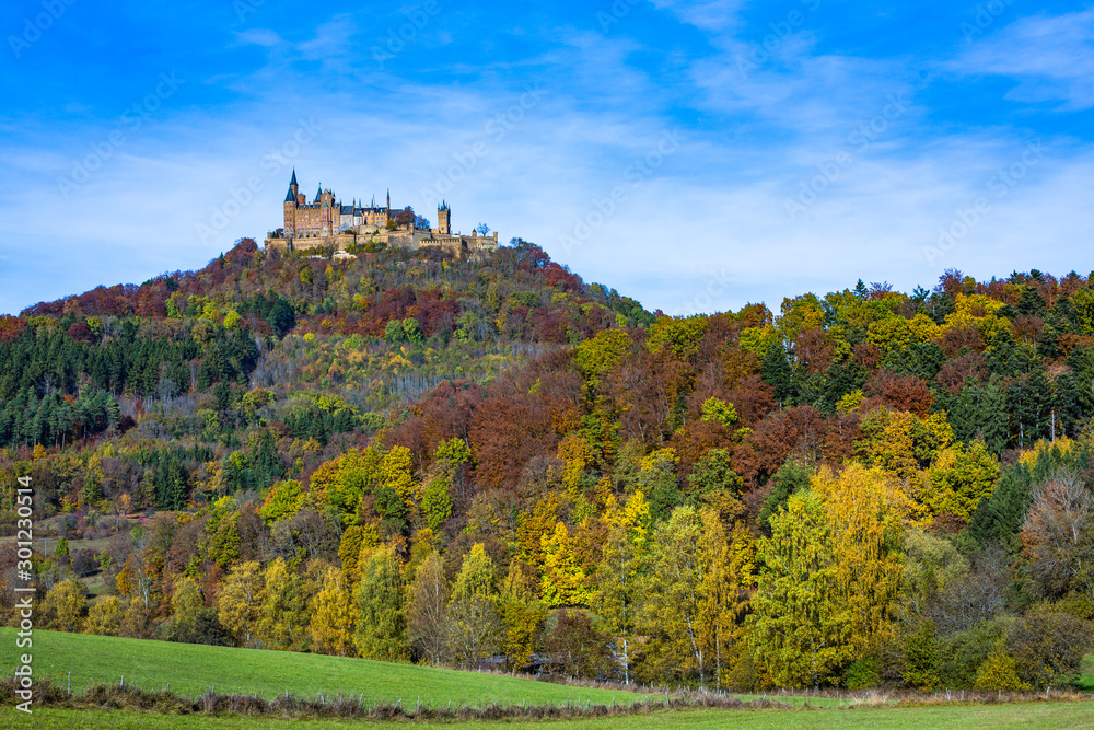 Herbstwald beim Schloß Hohenzollern