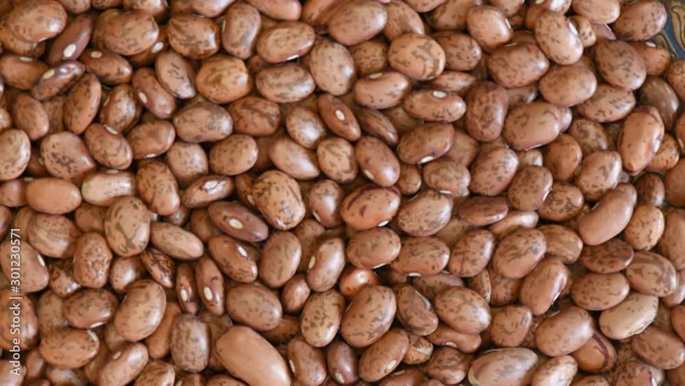 Rotating background of dried pinto beans Rotating background of dried pinto beans