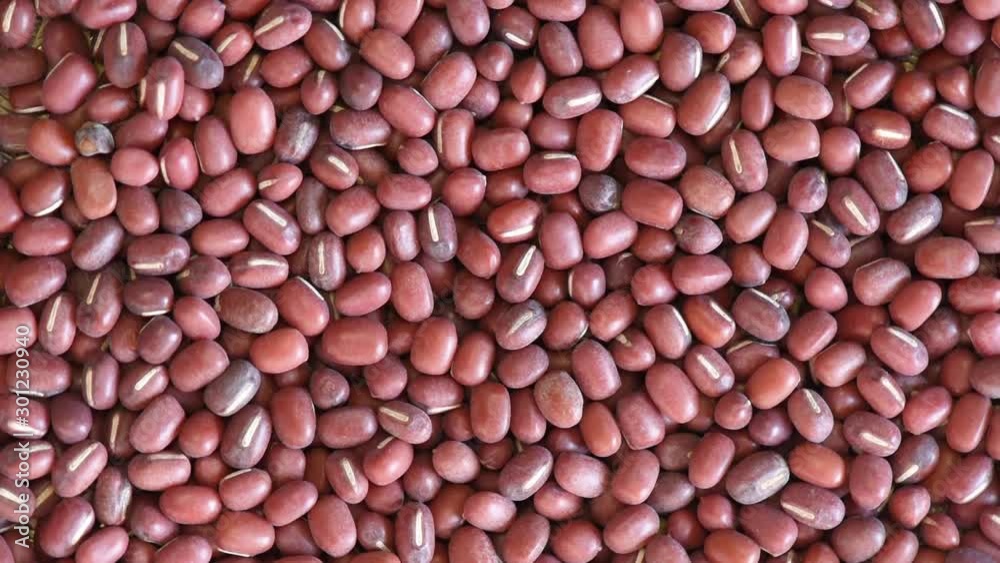 Rotating background of dried Adzuki beans Rotating background of dried Adzuki beans