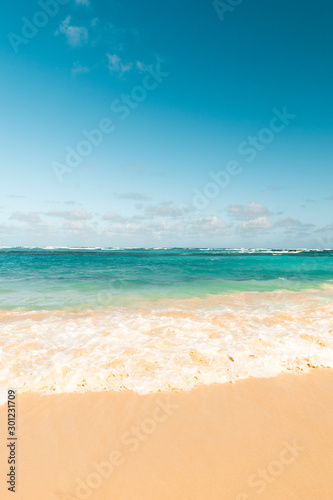Sea wave on the sand of a tropical beach in a wild turquoise bay © zoommachine