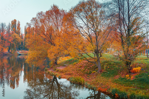 Colorful autumn park. Autumn trees with yellow leaves in the autumn park. Belgorod. Russia.