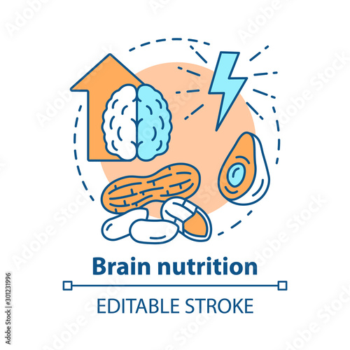 Brain nutrition concept icon. Keto diet idea thin line illustration. Ketogenic food. Healthy meal. Different nuts. Energy resource. Vector isolated outline drawing. Editable stroke