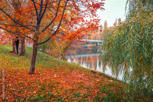 Colorful autumn park. Autumn trees with yellow leaves in the autumn park. Belgorod. Russia.