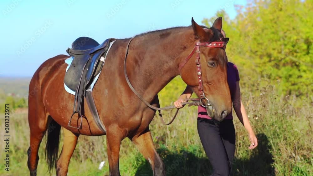 girl walking with a horse outdoors girl walking with a horse outdoors