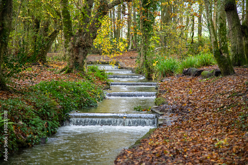 A series of small cataracts  Tehidy Woods  Cornwall  in autumn