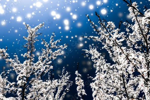 Canvas Print Christmas, New Years blue floral background, holiday card design, flower tree an
