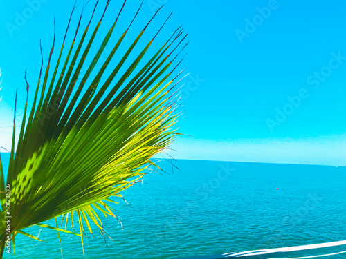 Palm tree branch against the view on beautiful sea. Summer sunny day, blue sky, water background
