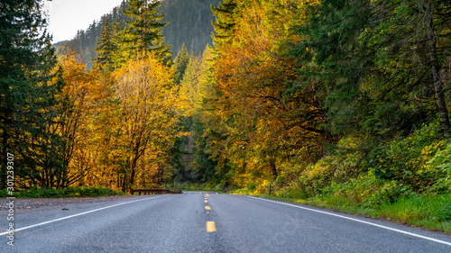 Mountain road surrounded by trees with autumnal colors in Liberty, Washington, USA photo