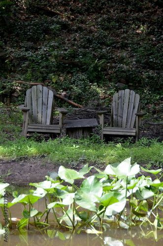 bench in garden