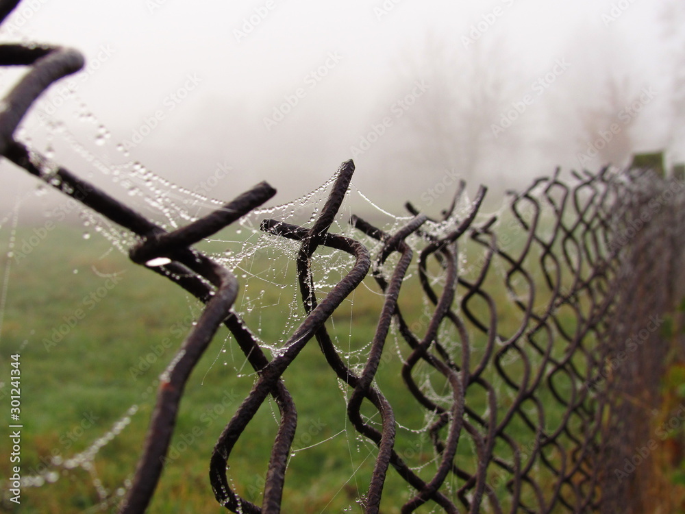 Fototapeta premium fence and barbed wire