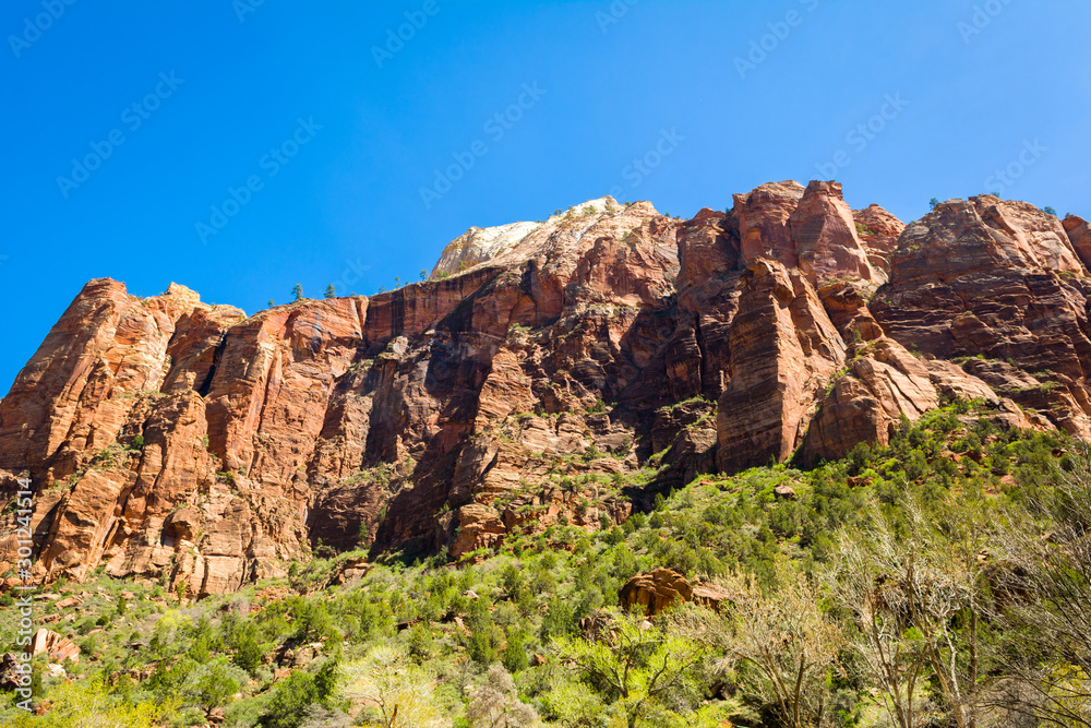 Fototapeta premium Zion National Park located in the USA in southwestern Utah. There are numerous rock cliffs, waterfalls and rivers in the park.
