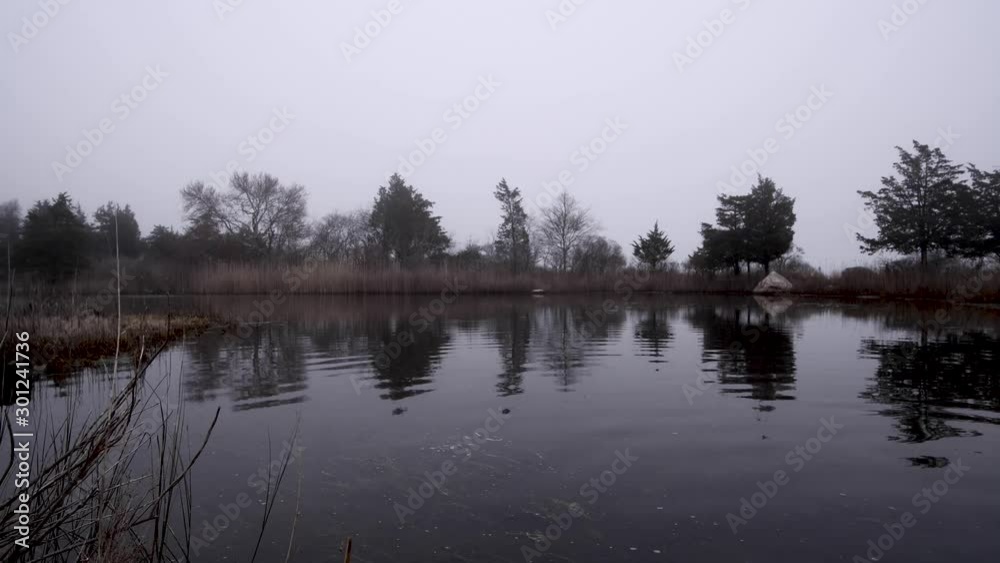 Foggy Lake Foggy Lake