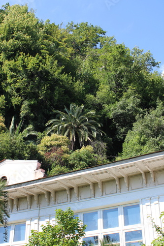 house with garden