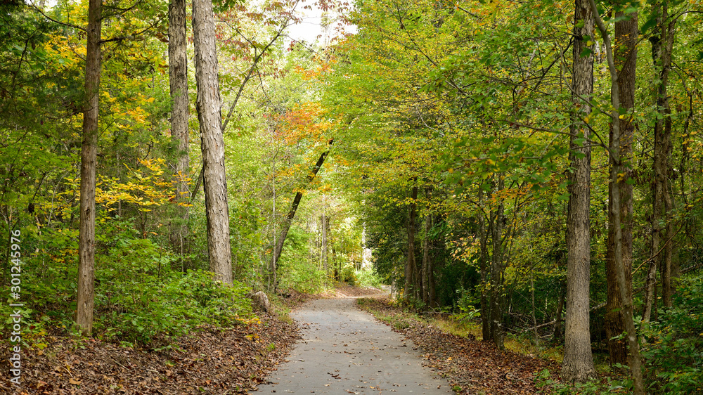 Obraz premium Fall Colors around Tega Cay SC