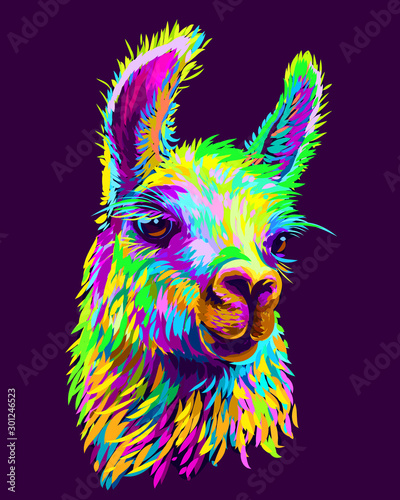 Alpaca / Llama portrait. Abstract, hand-drawn, multi-colored portrait of an alpaca / llama on a dark purple background. photo