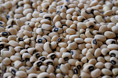 Schilderij op canvas dry kidney bean on white background