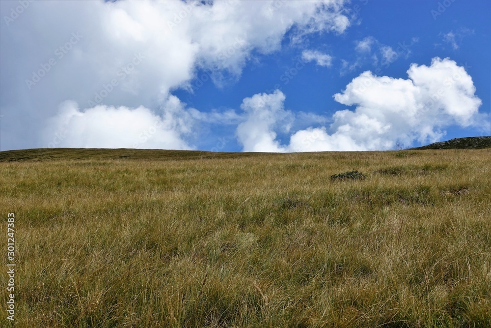 Typical mountain landscape from the pastures Typical mountain landscape from the pastures
