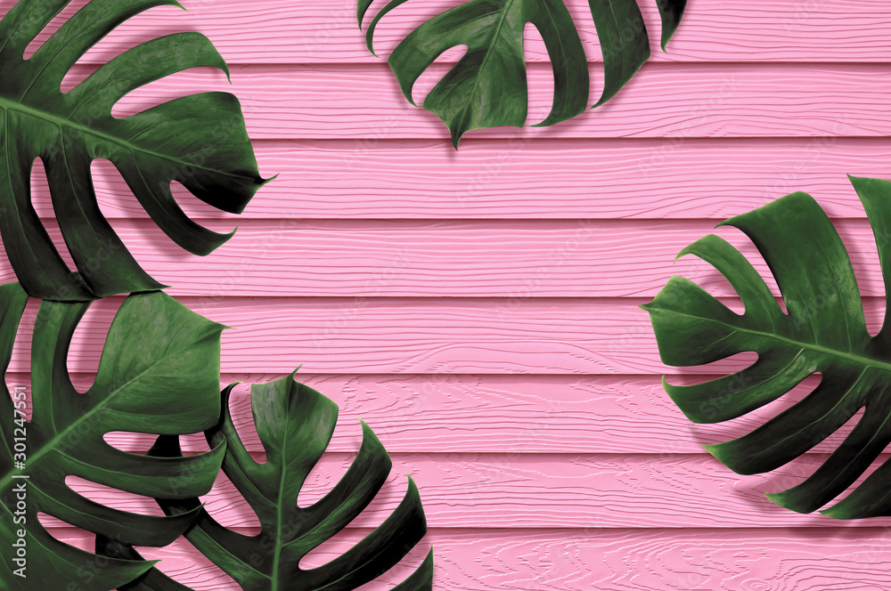 Lá nhiệt đới monstera trên nền màu hồng là một sự pha trộn hoàn hảo giữa phong cách hiện đại và thiên nhiên. Hãy thử trang trí màn hình của bạn với hình nền đầy sáng tạo này và tận hưởng những khoảnh khắc thư giãn.