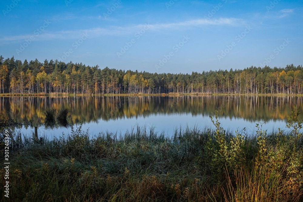 landscape with lake and forest with reflection landscape with lake and forest with reflection