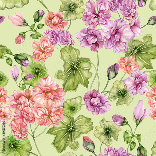 Beautiful floral background with pelargonium flowers and leaves. Seamless bot...