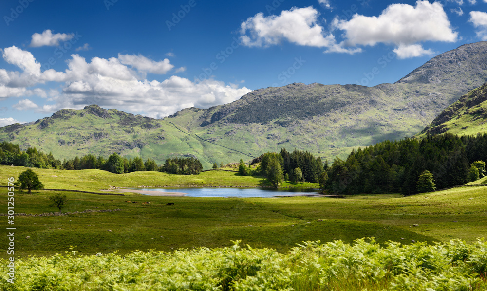 Obraz premium Blea Tarn pond in Little langdale valley with Wetherlam and Birk Fell hills Lake District National Park England
