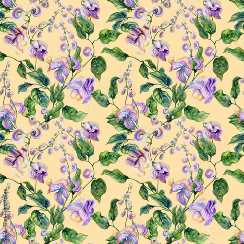 Beautiful snail vine twigs with purple flowers on yellow background. Seamless floral pattern. Watercolor painting. Hand painted illustration.