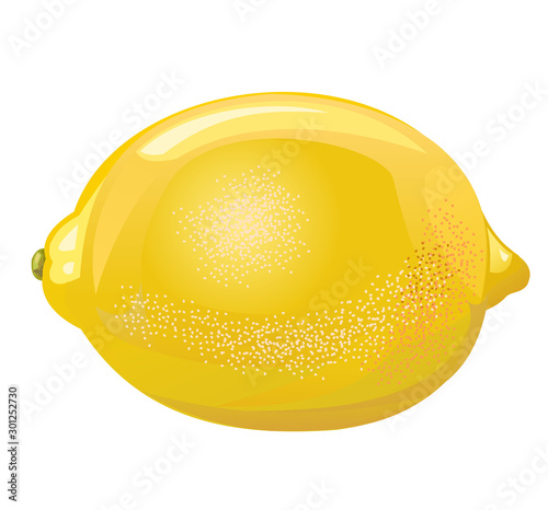 Lemon. Sour citrus fruit. Yellow southern fruit. Isolated object. Vector illustration. Ripe juicy lemon.