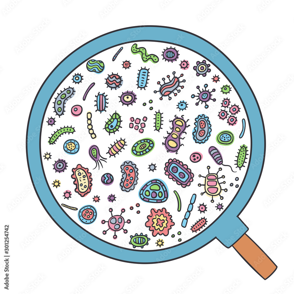 Visualizing Germs Bacterial microorganism through magnifying glass. Doodle style ...