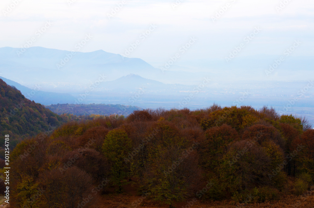 Panoramic view of autumn forest, Carpathian mountains, Ukraine. Horizontal outdoors shot Panoramic view of autumn forest, Carpathian mountains, Ukraine. Horizontal outdoors shot