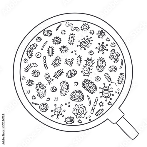 Bacterial microorganism through magnifying glass outline. Doodle style. Illustration of different germs, primitive organisms, micro-organisms, disease-causing objects, cell cancer, bacteria, viruses