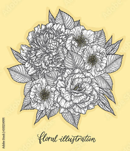 Rose and peonis flower hand drawn in lines. Black and white monochrome graphic doodle elements. Isolated vector illustration, template for design photo