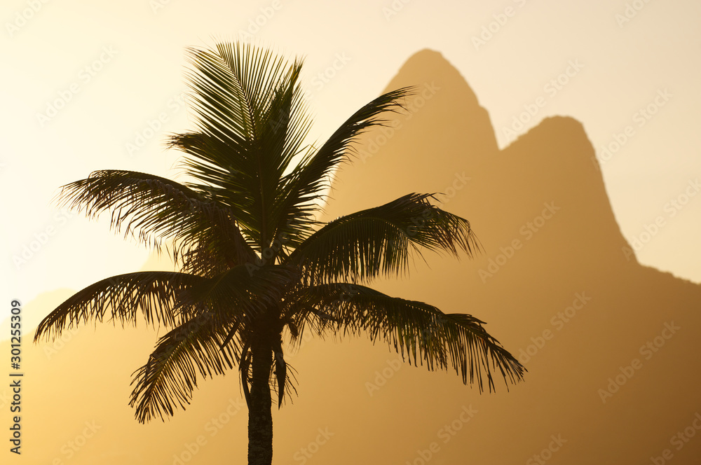 Silhouette of palm tree standing in front of misty golden sunset landscape view of Two Brothers Mountain on Ipanema Beach in Rio de Janeiro, Brazil