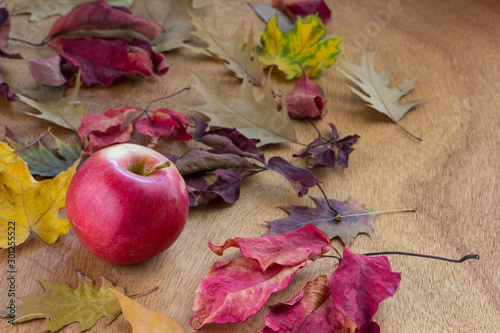 Apple among the autumn leaves. Autumn background. There is a place for text. photo