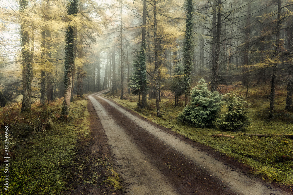 Obraz premium P.N. Gorbea, basque Country