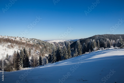 Scenic winter landscape with snowy fir trees. Winter postcard.