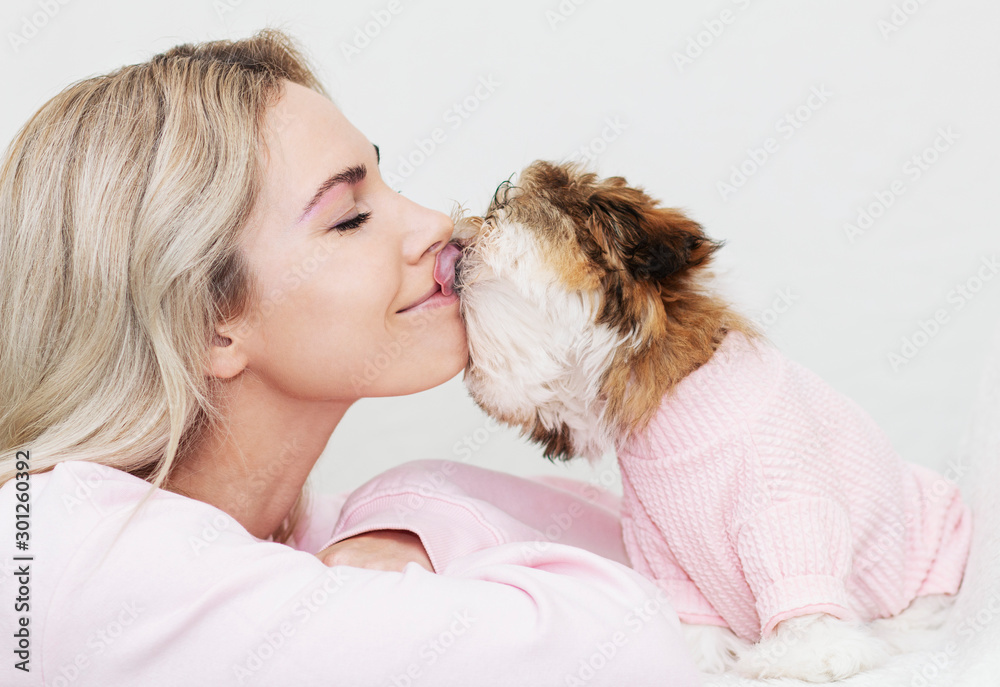 beautiful blonde kisses shih tzu, in pink clothes, cute puppy beautiful blonde kisses shih tzu, in pink clothes, cute puppy