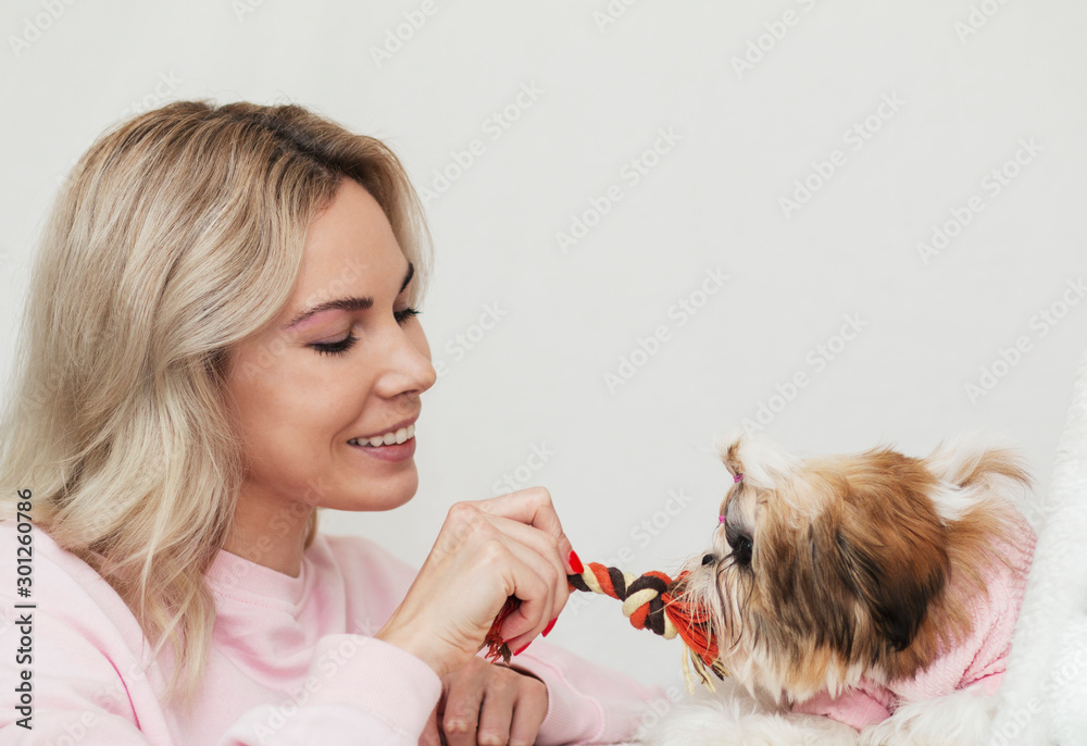 Do Shih Tzus Need Sweaters