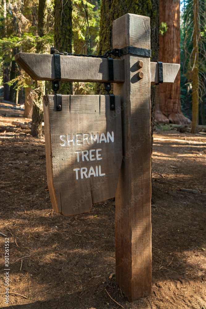 Sherman Tree Trail Sign at Sequoia National Park