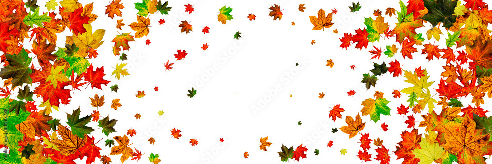 Autumn leaf pattern. Season falling leaves background. Thanksgiving concept Autumn leaf pattern. Season falling leaves background. Thanksgiving concept