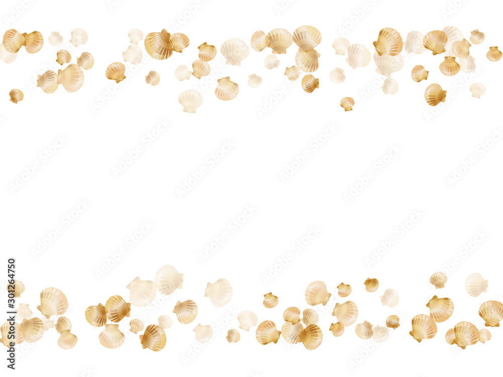 Gold seashells vector, golden pearl bivalved mollusks. Gold seashells vector, golden pearl bivalved mollusks.
