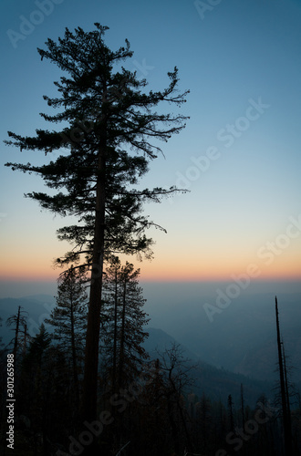 Sunrise View of the Forest Fire at Yosemite National Park