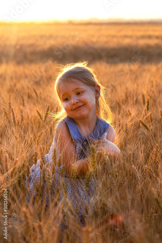 Little cute blonde girl in the blue dress in the wheat field at sunset tears spikelets of wheat. The harvest summer golden wheat. Qualitative futured bread.