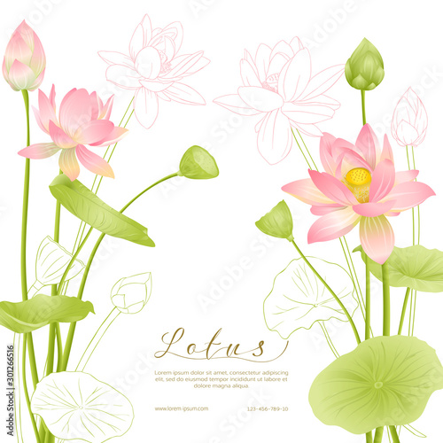 Lotus flowers. Template for wedding invitation, greeting card, banner, gift voucher with place for text. Colored and outline design. Vector illustration.