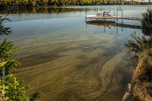 Obraz na płótnie Éclosion de cyanobactérie sur le lac