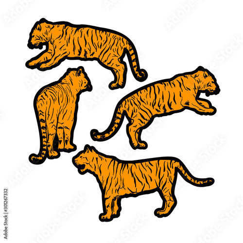 tigers wild cat vector set. Orange Bengal Tiger Animals Icons for Print or Tattoo Design. Hand-drawn Freehand Zoo Illustration. Art Drawing of Isolated Circus Animal