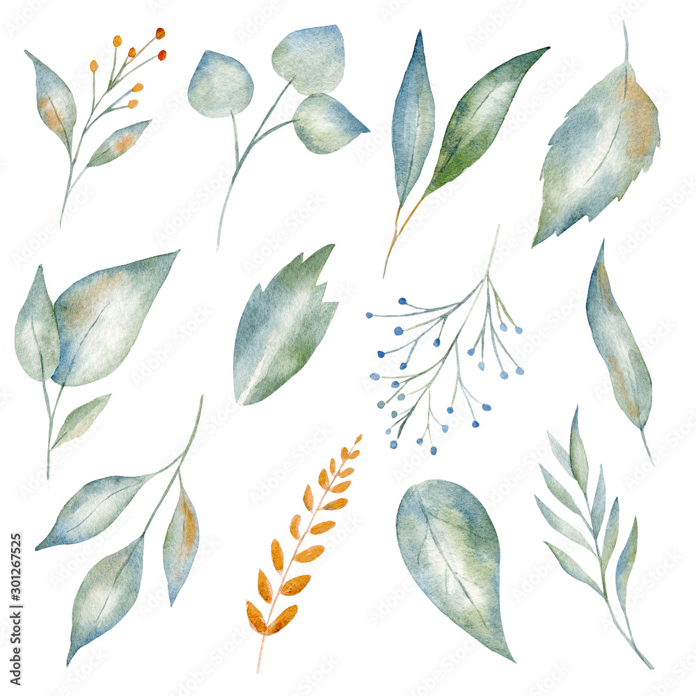 Beautiful green and yellow leaves watercolor raster illustration set